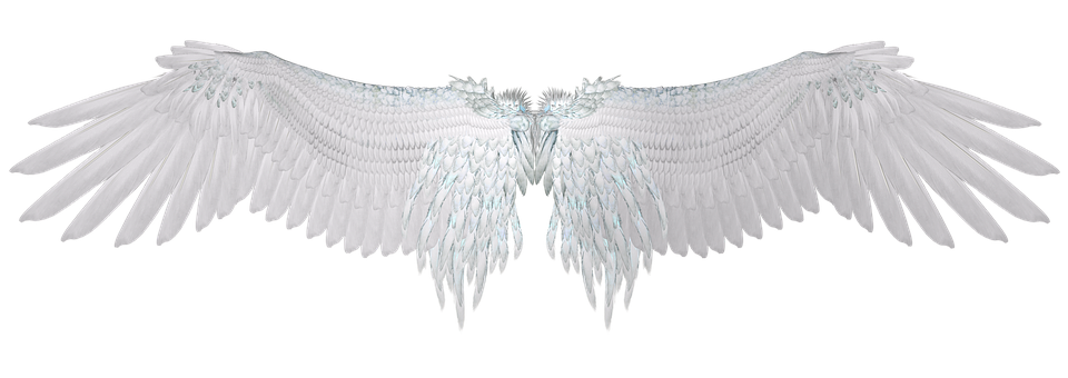 Angel Wings – Turn to the Stars, Astrology News